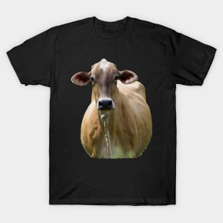 cute cow T-Shirt